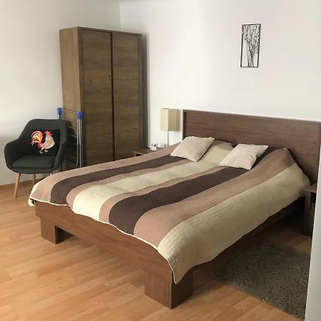 Silvia Studios Braşov Eksteriør billede